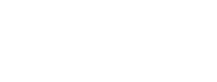 Caprizar Logo